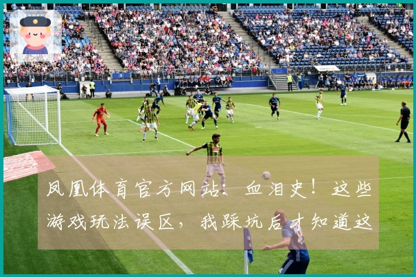 凤凰体育官方网站：血泪史！这些游戏玩法误区，我踩坑后才知道这样玩才收益翻倍