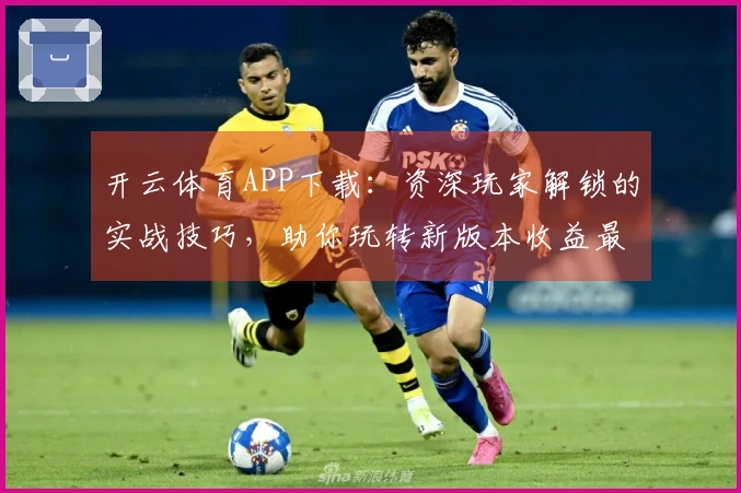 开云体育APP下载：资深玩家解锁的实战技巧，助你玩转新版本收益最大化